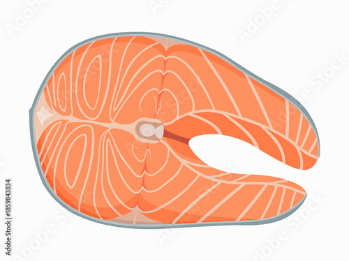 Fresh raw salmon steak vector illustration isolated on white. Pink fish fillet with fat marbling, healthy seafood ingredient for cooking and diet
