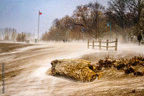 Foto A weathered log lies on the sand at Kew Beach in Toronto, surrounded by intense drifting snow driven by strong winds near a wooden fence during winter