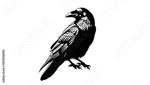 Striking black and white vector illustration of a detailed raven bird perched on a white background