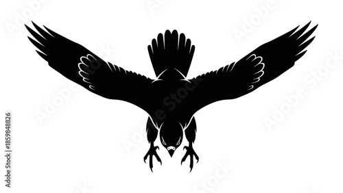 Striking Silhouette of a Predatory Bird in Flight with Wings Extended