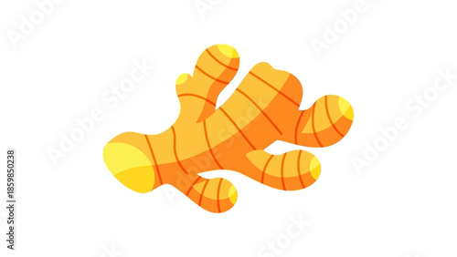 Fresh Turmeric Roots on White Background.