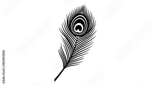 Isolated black and white illustration of a peacock feather.