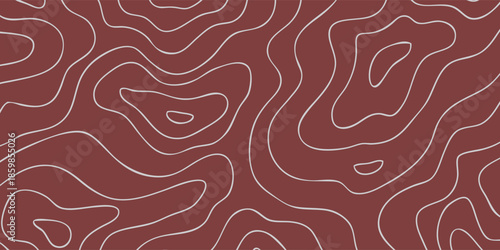Abstract Topographic Map Contour Lines Pattern Background.