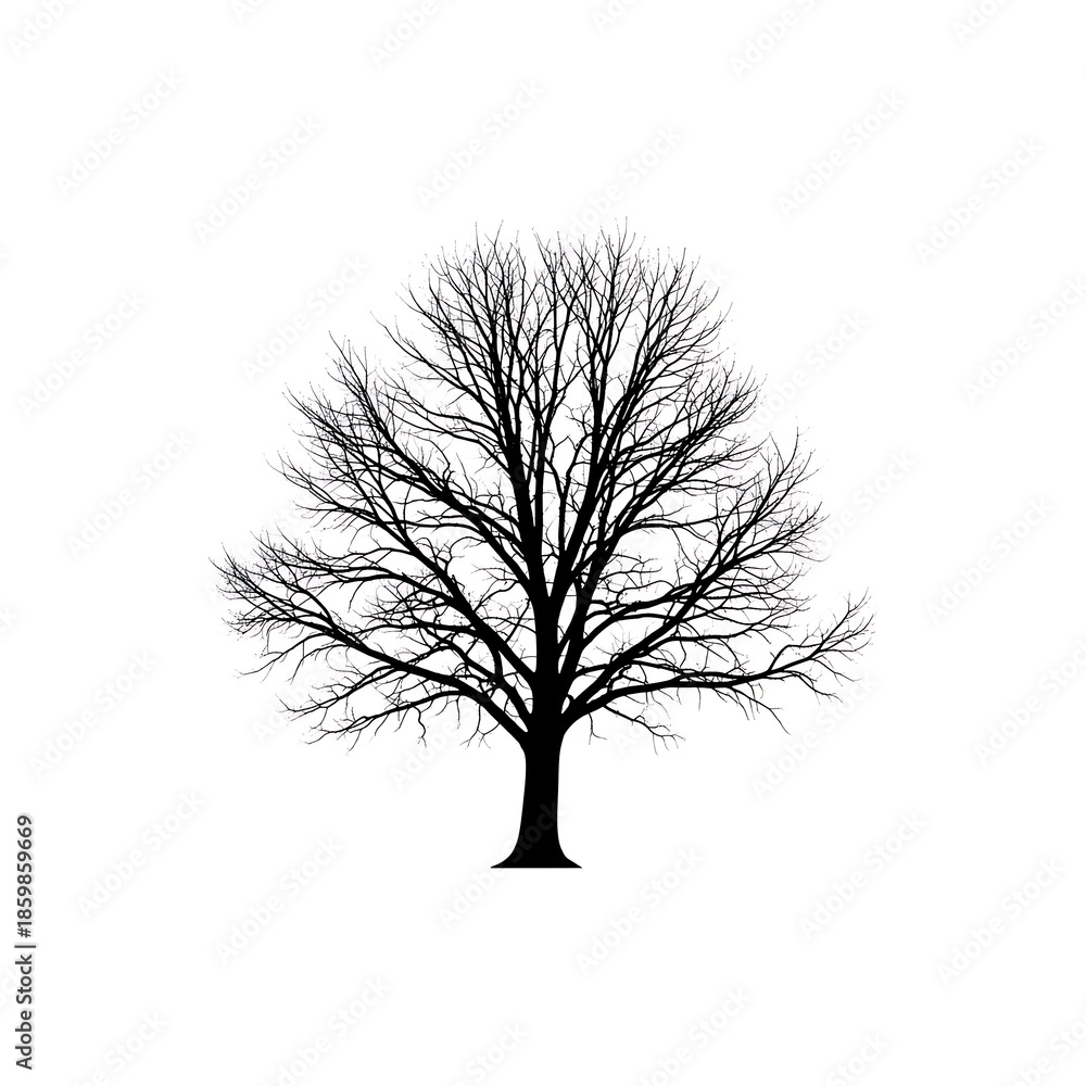 Obraz premium Flat black and white icon of a leafless tree silhouette
