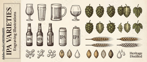 Explore the beauty of vintage engravings showcasing the diverse varieties of IPA in a premium collection of botanical art