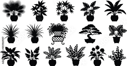 Potted plant silhouettes collection isolated on white background, indoor houseplants and decorative foliage varieties, elegant botanical black vector illustration set