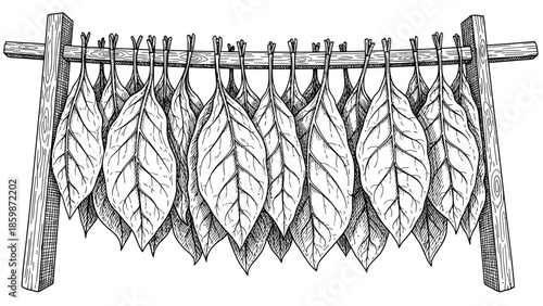 Black vector illustration of a barbed wire fence and rope pattern featuring nature elements like a leaf and tree branch in a textured line art design