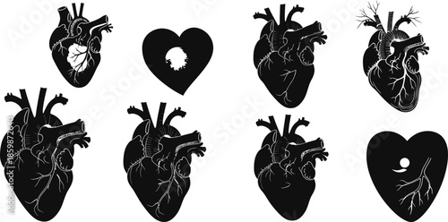 Collection of anatomical heart illustrations in various styles