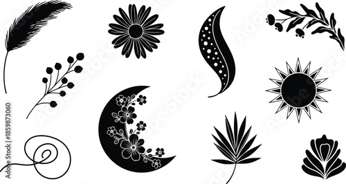 Collection of black and white botanical and celestial illustrations