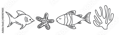 Underwater sea creatures line drawing collection for marine biology educational materials or oceanthemed nursery decor projects
