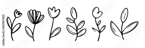 Hand drawn floral outlines and delicate botanical branches create a charming and versatile collection suitable for spring celebrations, visual graphics, textile prints, and stationery