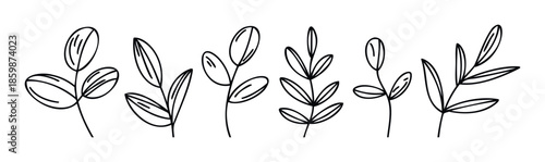 A collection of minimalist handdrawn botanical illustrations featuring various simple plant sprigs and leaves, perfect for natural decor, organic branding, and simple graphic design