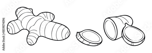Black outline drawing depicting a whole fresh ginger root and its various sliced pieces, suitable for culinary projects, health food packaging, or recipe book illustrations.