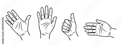 Outline drawings depicting various human hand gestures including an open palm, a greeting, a thumbs up, and a closed fist, ideal for conveying concepts of communication, approval, or