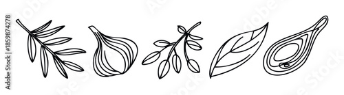 Simple botanical outline drawings featuring olive branches, a fig, a leaf, and an avocado, ideal for organic food branding, healthy lifestyle promotions, and natural product packaging.