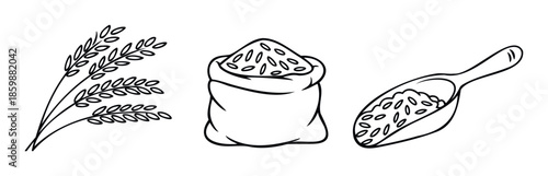Organic rice farm product symbols showing harvested grain stalks, a bag of rice, and a scoop for agriculture business, food packaging, and healthy diet content