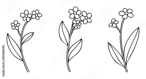 Simple black outline drawings of delicate spring wildflowers with petals and stems, perfect for childrens coloring books, educational materials, or decorative graphic projects