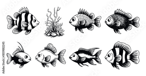 A collection of diverse freshwater and saltwater fish varieties alongside intricate aquatic plants and coral, perfect for illustrating marine life education and underwater nature themes.