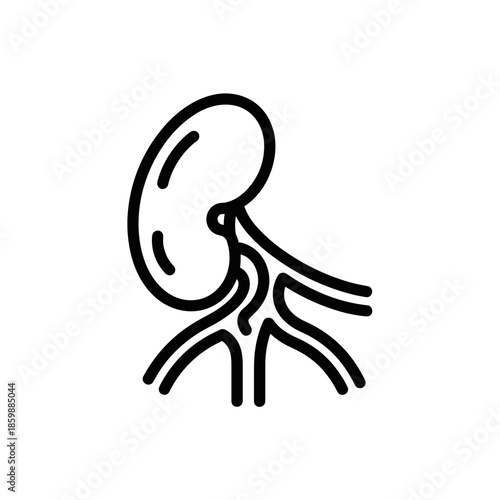 Black outline diagram of a human lymph node system for medical education and immunology biology concept