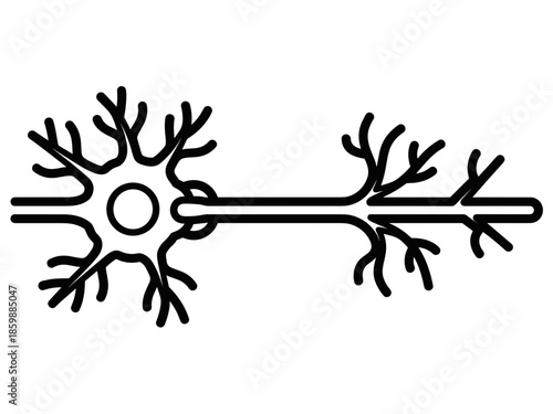 Detailed black line art of a neuron cell with axon and dendrites for neuroscience and nervous system study concept