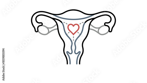Female reproductive system illustration with a heart symbol for women's health and fertility care concept