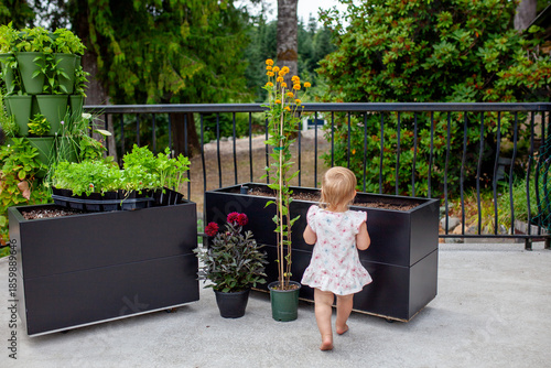 A young toddler girl helps to plant balcony planters with flowers and herbs. Children can learn and help tend to gardens from a young age, and benefit from gardening.
