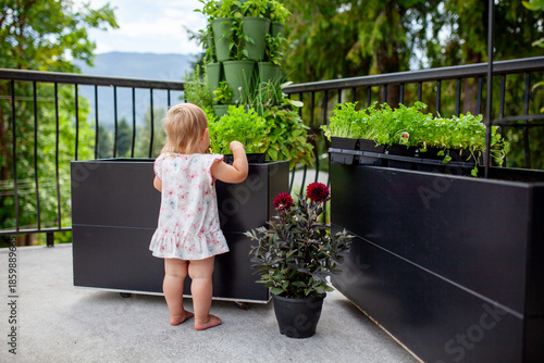 A young toddler girl helps to plant balcony planters with flowers and herbs. Children can learn and help tend to gardens from a young age, and benefit from gardening.