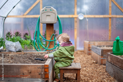 A toddler plays with soil in a high tunnel greenhouse in early Spring. Children in the garden can learn and help tend to soil and plants.