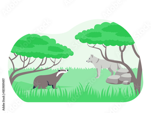A badger and a wolf standing opposite each other in a grassy area with trees and rocks in a woodland setting. Ecosystem vector illustration. Flat illustration concept.