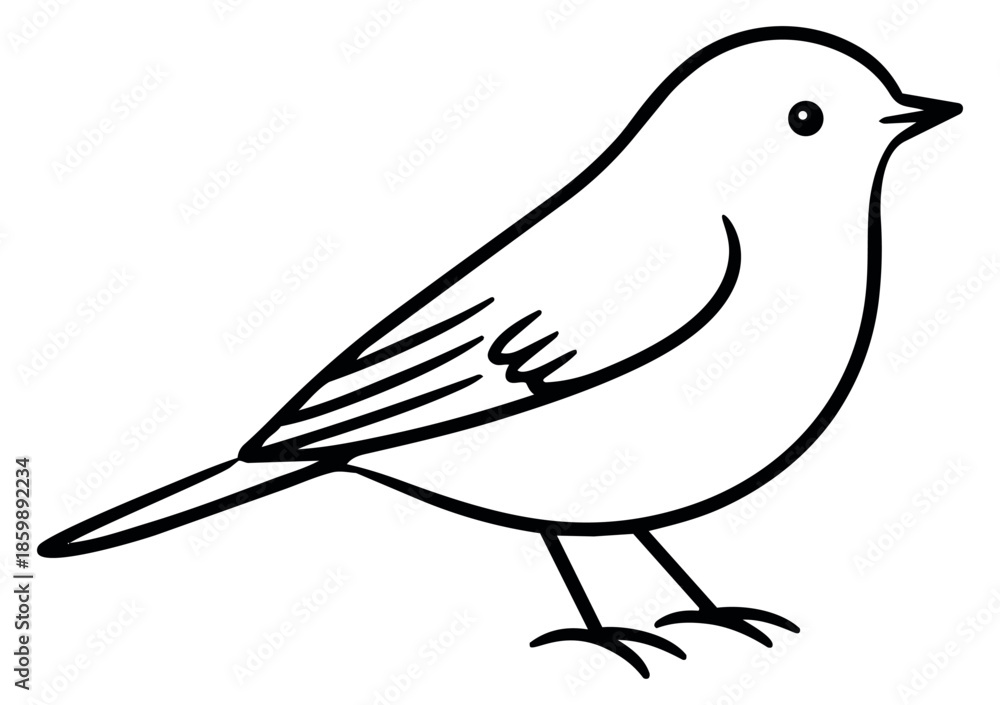 Fototapeta premium Simple hand drawn line art illustration of a small bird standing for nature and spring designs