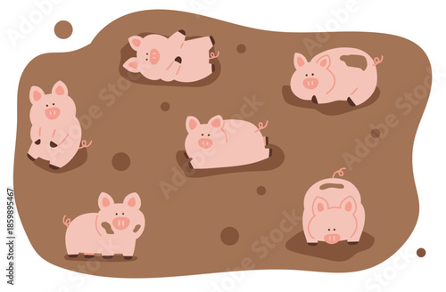 pig set8