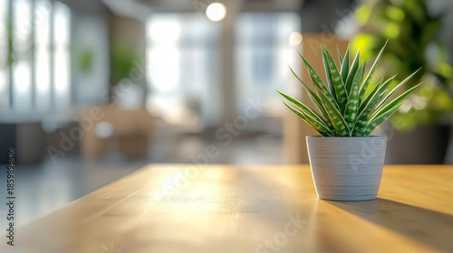 Wooden table top with small succulent plant and blurred modern office background