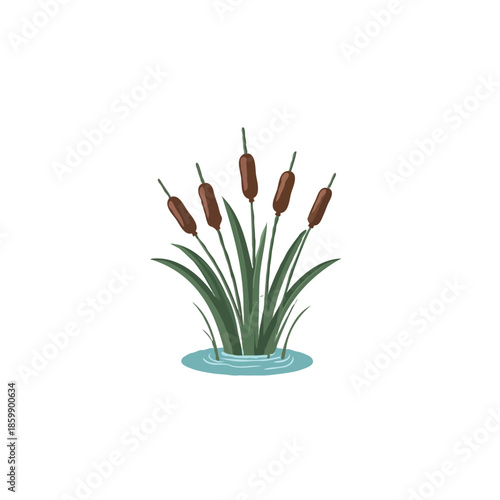 flat icon illustration color 5