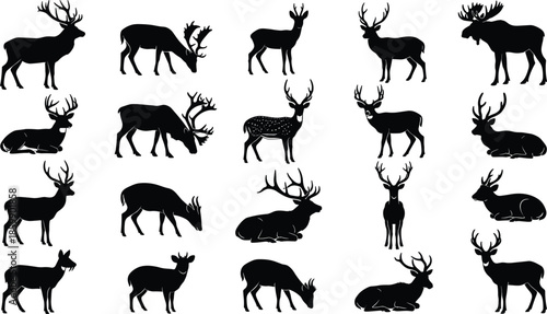 Collection of deer, stag, elk and moose silhouettes in various standing and resting poses isolated on white background for design