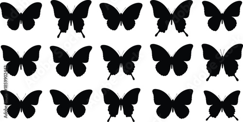 Collection of black butterfly silhouettes, elegant flying insect icons and nature shapes, vector set for decorative design, craft and artwork