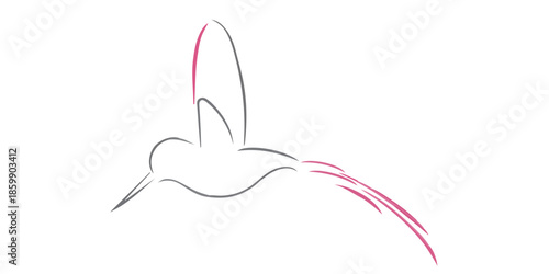 minimalism abstract modern logo design line art drawing vector bird fly animal wildlife  outline graphic design hummingbird sketch