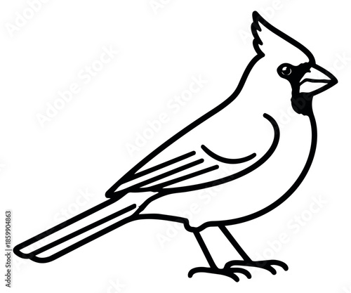 Line art illustration of a cardinal bird depicting a side profile for nature and wildlife designs