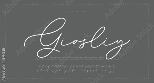 Script Elegant Signature Typeface. Lettering signature font isolated on grey background. brus style alphabet. Vector logo letters.