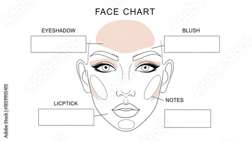 Face chart diagram with makeup application areas labeled for cosmetics tutorial or guide