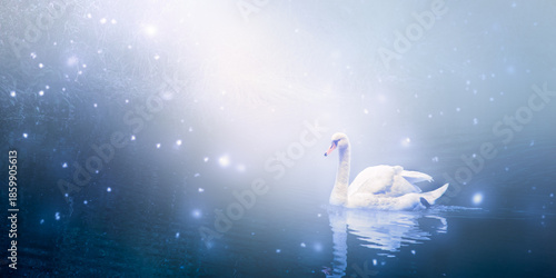 White Mute Swan swimming in lake, fantasy enchanted fairy tale landscape with beautiful elegant Cygnus olor bird, fairytale shining background with fireflies and moon ray, tranquil mysterious scene.