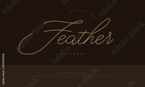 Feather Minimalist Thin Line Signature Script Font Alphabet Vector For Fashion Branding