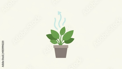 Potted plant with green leaves and steam rising from foliage on beige background