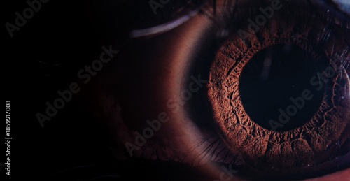 Fotografie Window to the Soul