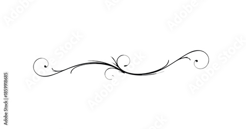 Ornato decorativo elegante e minimalista com arabescos finos em preto sobre fundo transparente.