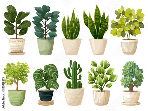 Coleção de dez ilustrações vetoriais de plantas de interior em vasos brancos e verdes com fundo transparente.