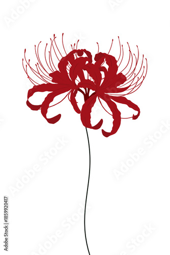 abstract floral design