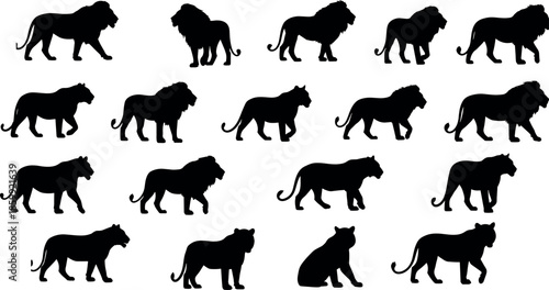 Lion silhouette pose collection featuring walking standing sitting wild big cats representing strength wildlife safari animal illustration set