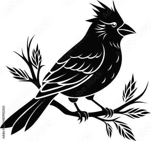 Silhouette Of Winter Cardinal Bird