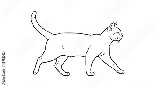 Black and White Line Art Illustration of a Walking Domestic Cat in Profile, Outline Drawing for Coloring Book or Design Element