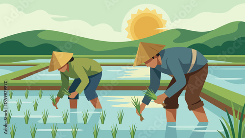 Two Farmers Working Together in a Rice Field.